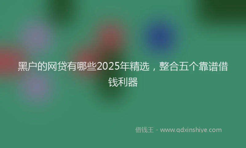 黑户的网贷有哪些2025年精选,整合五个靠谱借钱利器
