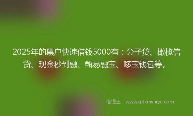 2025年的黑户快速借钱5000有：分子贷、橄榄信贷、现金秒到融、甄易融宝、哆宝钱包等。
