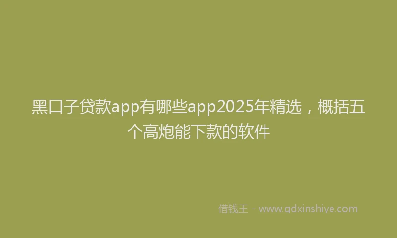 黑口子贷款app有哪些app2025年精选，概括五个高炮能下款的软件