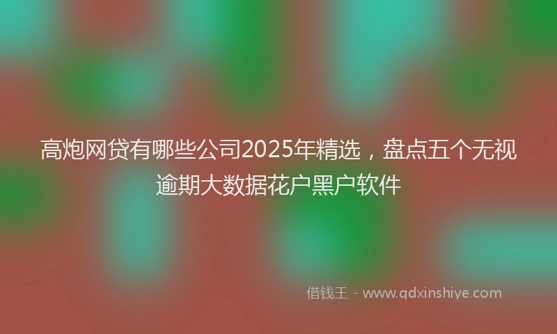 高炮网贷有哪些公司2025年精选，盘点五个无视逾期大数据花户黑户软件