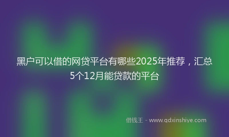 黑户可以借的网贷平台有哪些2025年推荐，汇总5个12月能贷款的平台