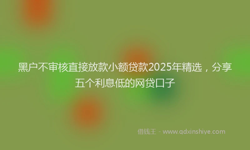 黑户不审核直接放款小额贷款2025年精选，分享五个利息低的网贷口子