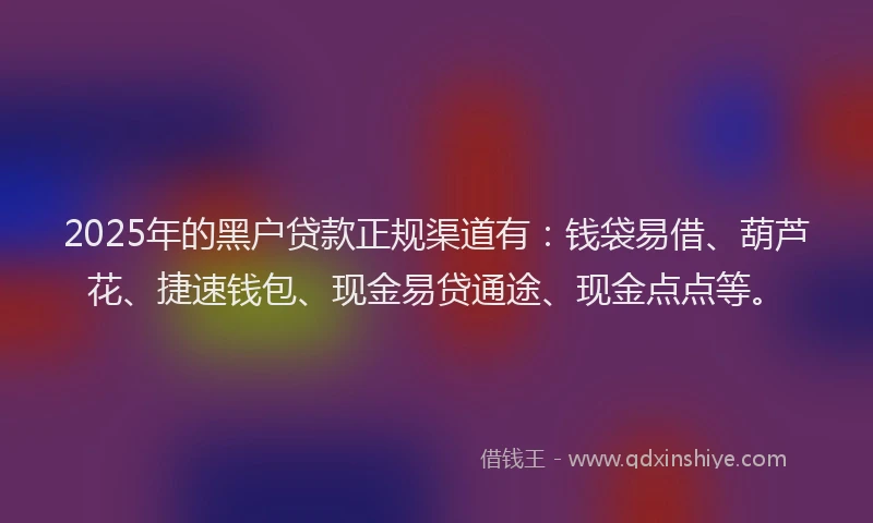 2025年的黑户贷款正规渠道有：钱袋易借、葫芦花、捷速钱包、现金易贷通途、现金点点等。
