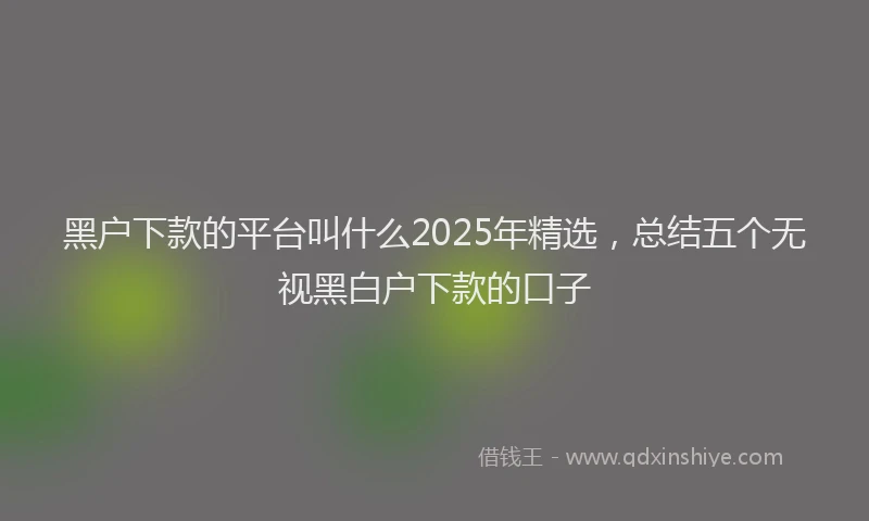 黑户下款的平台叫什么2025年精选，总结五个无视黑白户下款的口子