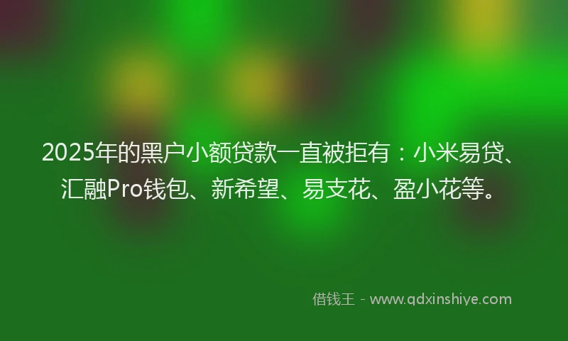 2025年的黑户小额贷款一直被拒有：小米易贷、汇融Pro钱包、新希望、易支花、盈小花等。