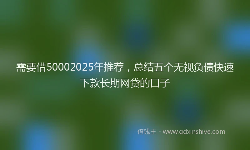 需要借50002025年推荐，总结五个无视负债快速下款长期网贷的口子