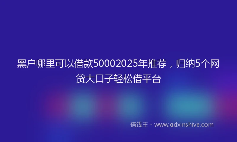黑户哪里可以借款50002025年推荐，归纳5个网贷大口子轻松借平台
