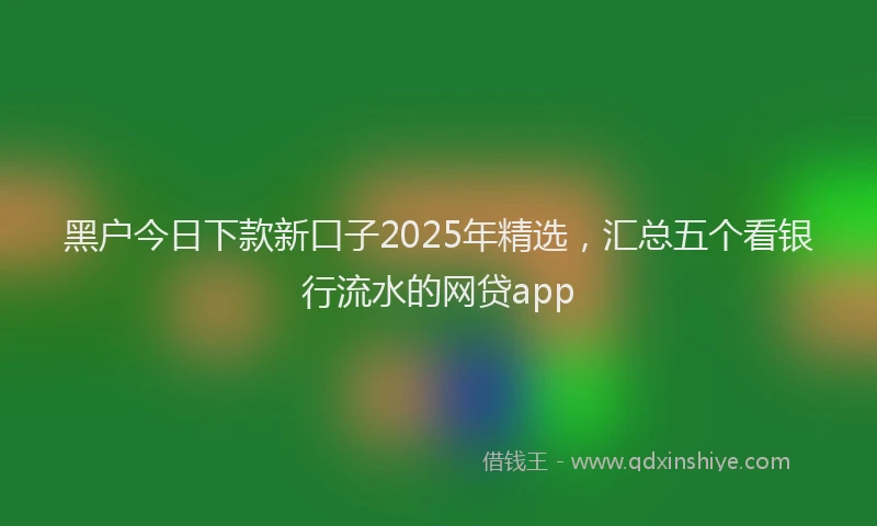 黑户今日下款新口子2025年精选，汇总五个看银行流水的网贷app