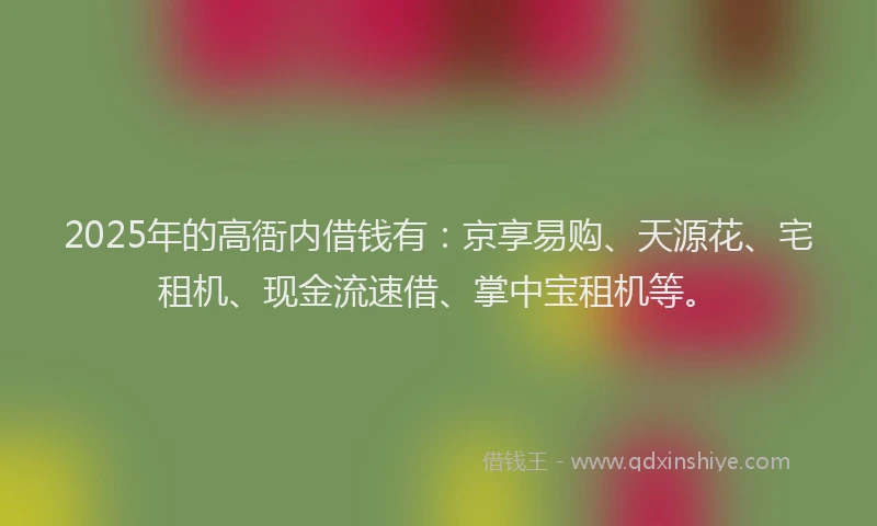 2025年的高衙内借钱有：京享易购、天源花、宅租机、现金流速借、掌中宝租机等。