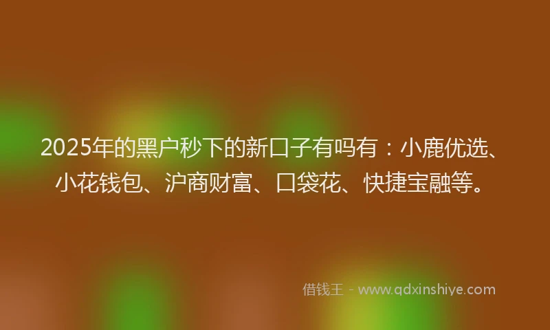 2025年的黑户秒下的新口子有吗有：小鹿优选、小花钱包、沪商财富、口袋花、快捷宝融等。