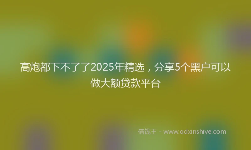 高炮都下不了了2025年精选，分享5个黑户可以做大额贷款平台