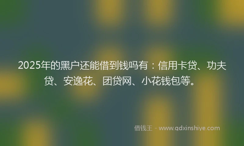 2025年的黑户还能借到钱吗有：信用卡贷、功夫贷、安逸花、团贷网、小花钱包等。