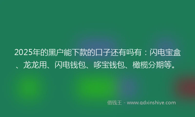 2025年的黑户能下款的口子还有吗有：闪电宝盒、龙龙用、闪电钱包、哆宝钱包、橄榄分期等。