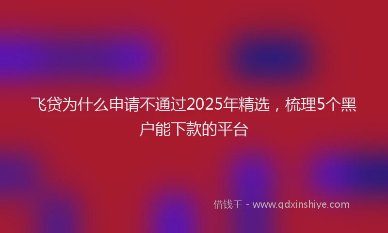 飞贷为什么申请不通过2025年精选，梳理5个黑户能下款的平台