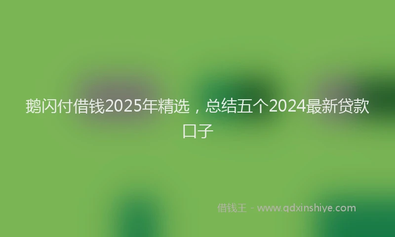 鹅闪付借钱2025年精选，总结五个2024最新贷款口子