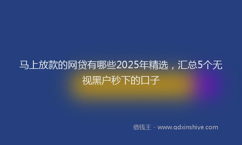 马上放款的网贷有哪些2025年精选，汇总5个无视黑户秒下的口子