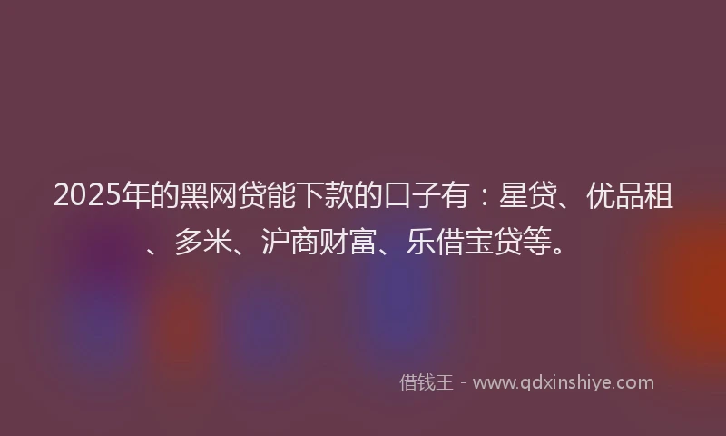 2025年的黑网贷能下款的口子有：星贷、优品租、多米、沪商财富、乐借宝贷等。