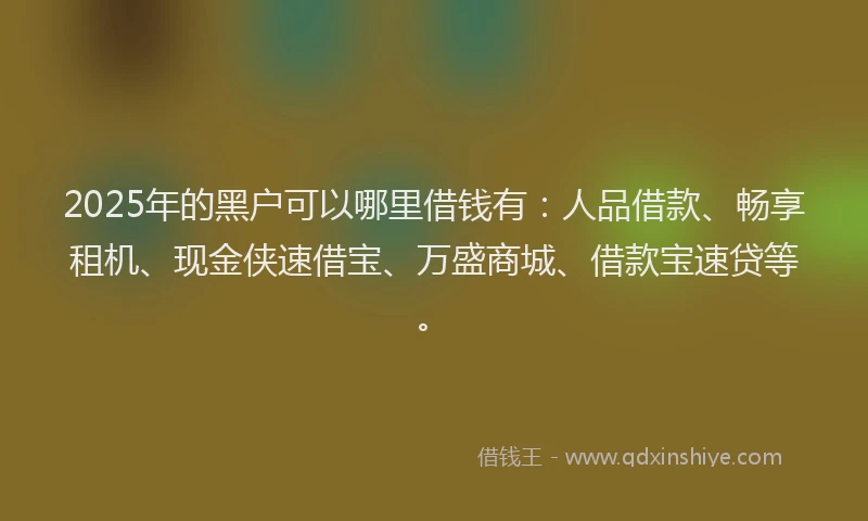 2025年的黑户可以哪里借钱有：人品借款、畅享租机、现金侠速借宝、万盛商城、借款宝速贷等。