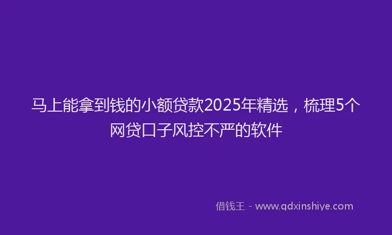 马上能拿到钱的小额贷款2025年精选，梳理5个网贷口子风控不严的软件