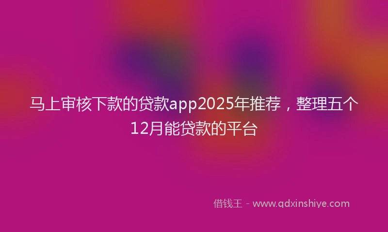 马上审核下款的贷款app2025年推荐，整理五个12月能贷款的平台