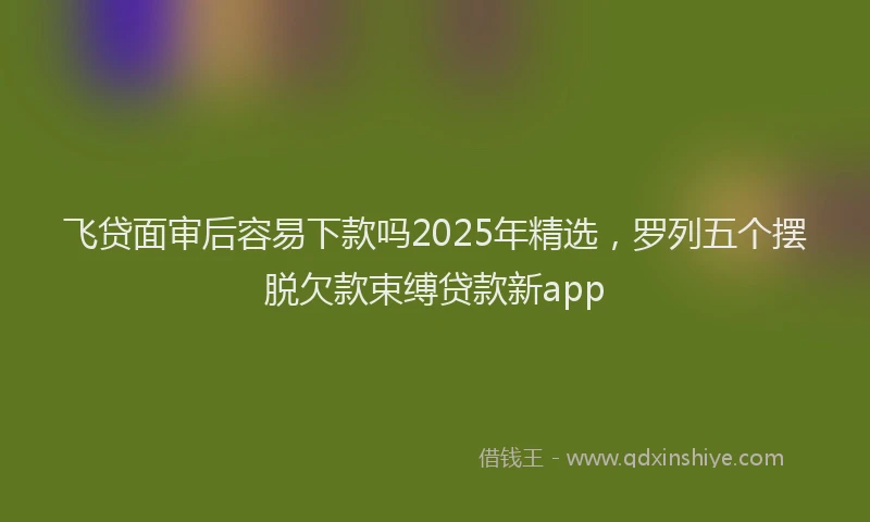 飞贷面审后容易下款吗2025年精选，罗列五个摆脱欠款束缚贷款新app