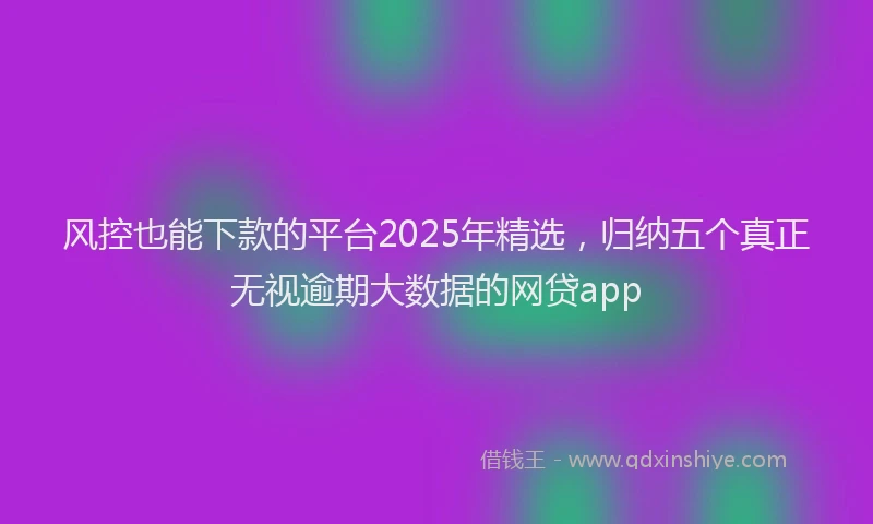 风控也能下款的平台2025年精选，归纳五个真正无视逾期大数据的网贷app