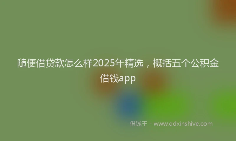 随便借贷款怎么样2025年精选，概括五个公积金借钱app