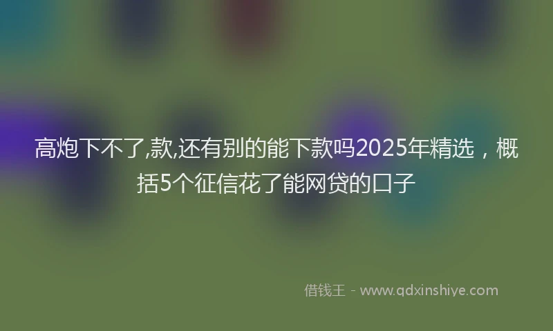 高炮下不了,款,还有别的能下款吗2025年精选，概括5个征信花了能网贷的口子