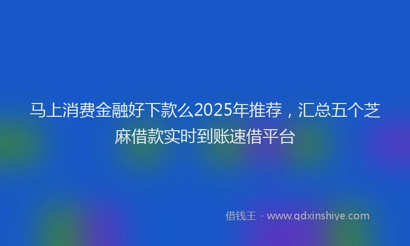 马上消费金融好下款么2025年推荐，汇总五个芝麻借款实时到账速借平台