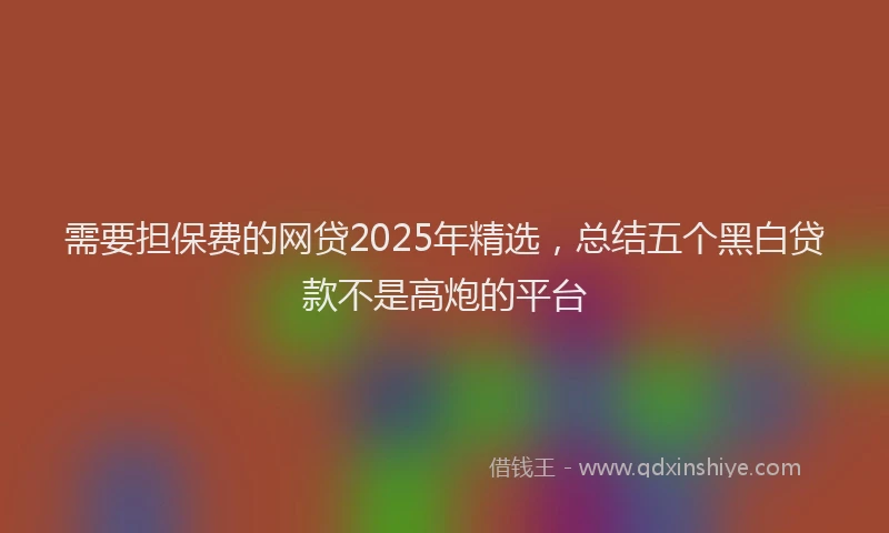 需要担保费的网贷2025年精选，总结五个黑白贷款不是高炮的平台