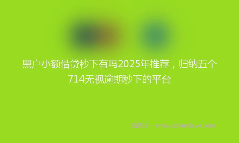 黑户小额借贷秒下有吗2025年推荐，归纳五个714无视逾期秒下的平台