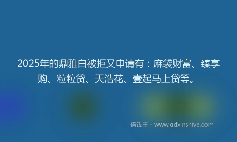2025年的鼎雅白被拒又申请有：麻袋财富、臻享购、粒粒贷、天浩花、壹起马上贷等。