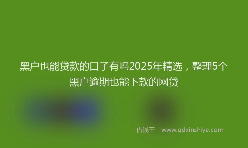 黑户也能贷款的口子有吗2025年精选，整理5个黑户逾期也能下款的网贷