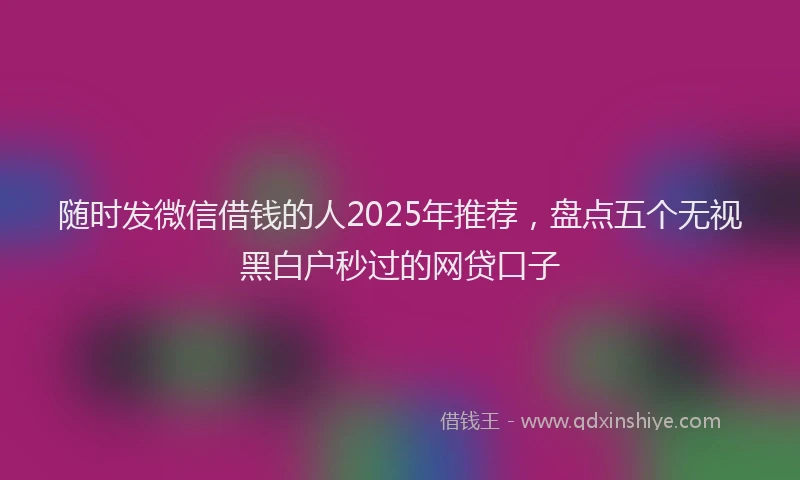 随时发微信借钱的人2025年推荐，盘点五个无视黑白户秒过的网贷口子