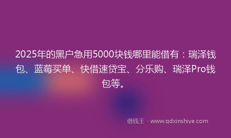2025年的黑户急用5000块钱哪里能借有：瑞泽钱包、蓝莓买单、快借速贷宝、分乐购、瑞泽Pro钱包等。