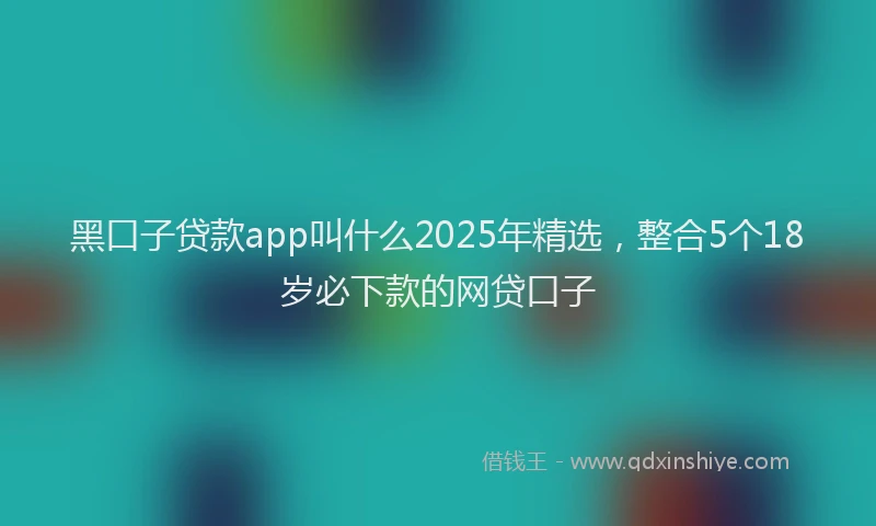 黑口子贷款app叫什么2025年精选，整合5个18岁必下款的网贷口子
