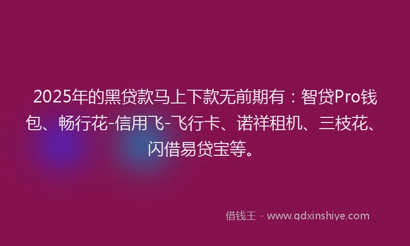 2025年的黑贷款马上下款无前期有：智贷Pro钱包、畅行花-信用飞-飞行卡、诺祥租机、三枝花、闪借易贷宝等。