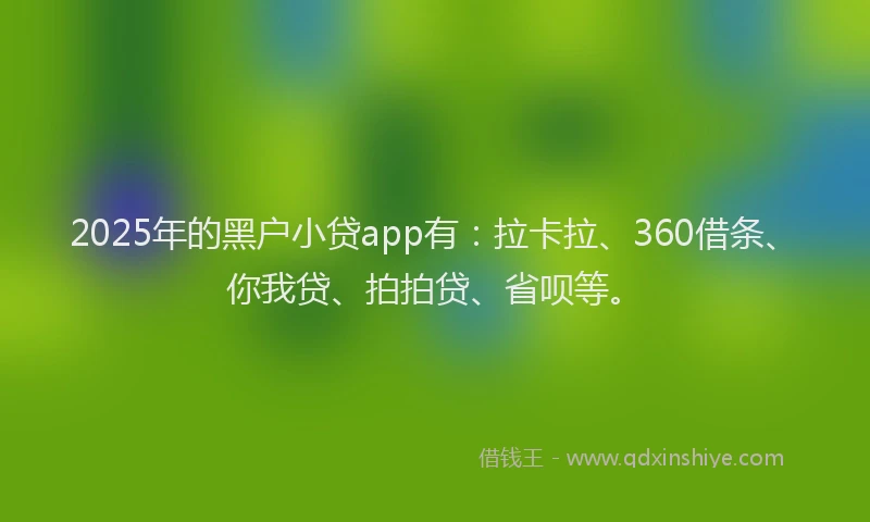 2025年的黑户小贷app有：拉卡拉、360借条、你我贷、拍拍贷、省呗等。