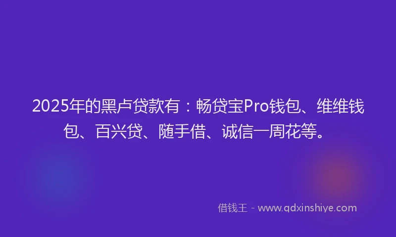 2025年的黑卢贷款有：畅贷宝Pro钱包、维维钱包、百兴贷、随手借、诚信一周花等。