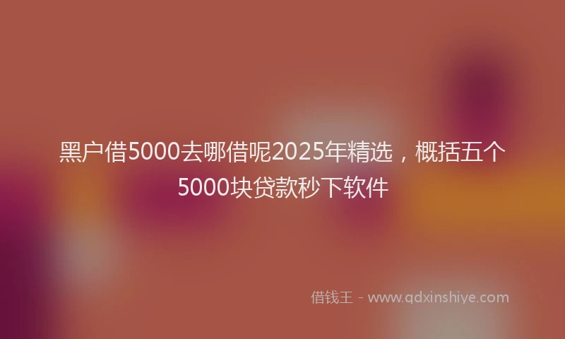 黑户借5000去哪借呢2025年精选，概括五个5000块贷款秒下软件