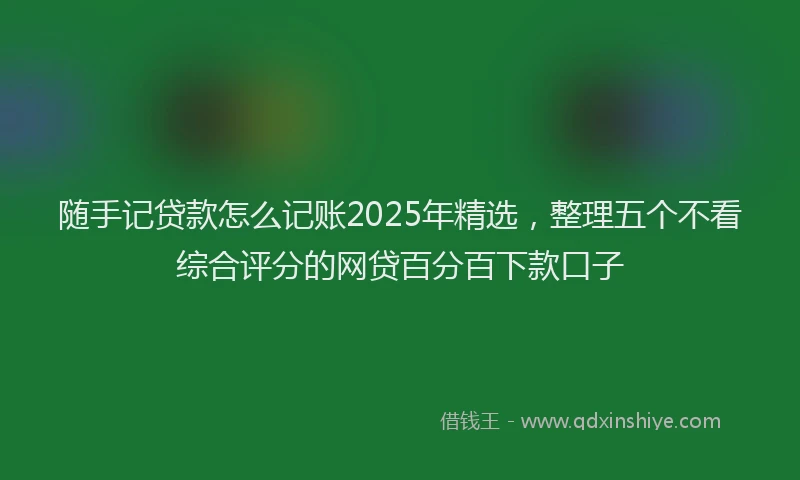 随手记贷款怎么记账2025年精选，整理五个不看综合评分的网贷百分百下款口子