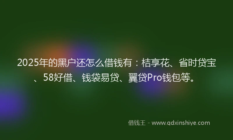 2025年的黑户还怎么借钱有：桔享花、省时贷宝、58好借、钱袋易贷、翼贷Pro钱包等。