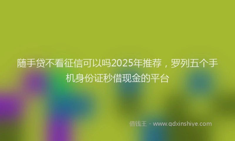 随手贷不看征信可以吗2025年推荐，罗列五个手机身份证秒借现金的平台