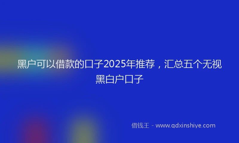 黑户可以借款的口子2025年推荐，汇总五个无视黑白户口子