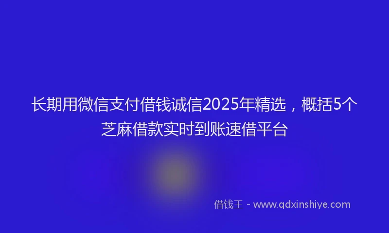长期用微信支付借钱诚信2025年精选，概括5个芝麻借款实时到账速借平台