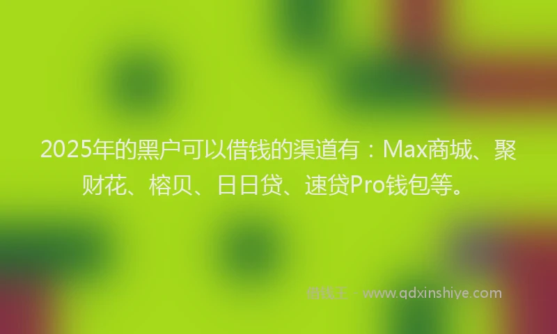 2025年的黑户可以借钱的渠道有：Max商城、聚财花、榕贝、日日贷、速贷Pro钱包等。
