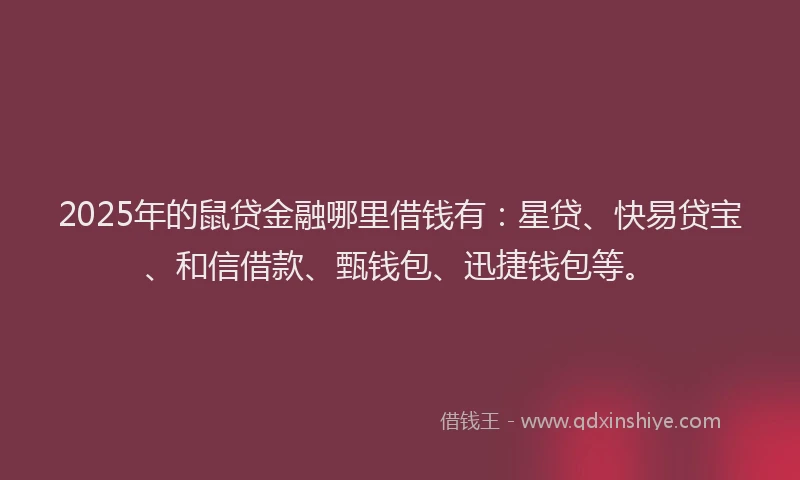 2025年的鼠贷金融哪里借钱有：星贷、快易贷宝、和信借款、甄钱包、迅捷钱包等。