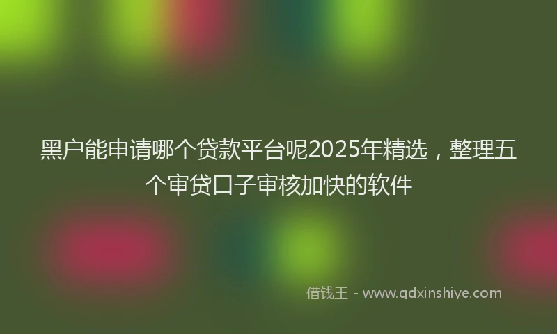 黑户能申请哪个贷款平台呢2025年精选，整理五个审贷口子审核加快的软件