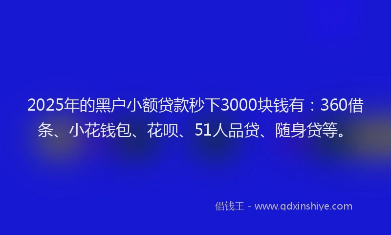 2025年的黑户小额贷款秒下3000块钱有：360借条、小花钱包、花呗、51人品贷、随身贷等。