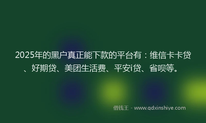2025年的黑户真正能下款的平台有：维信卡卡贷、好期贷、美团生活费、平安i贷、省呗等。